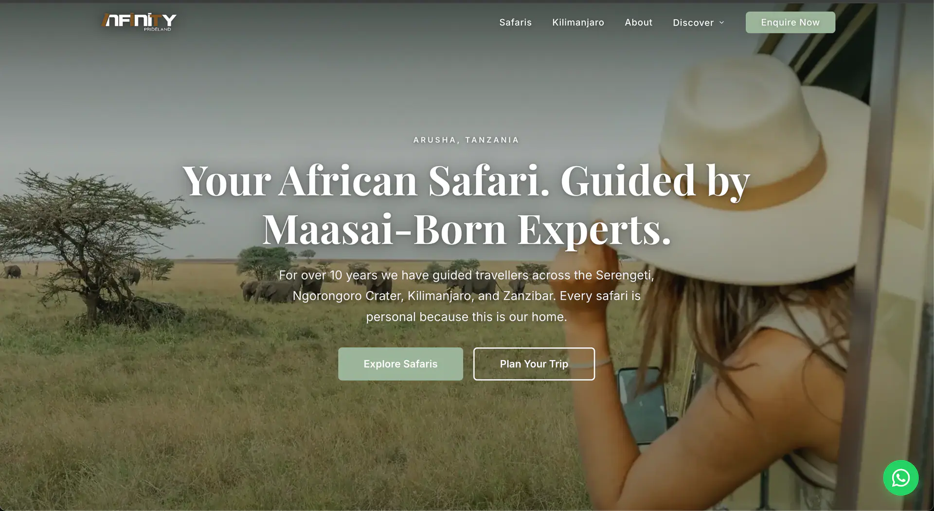Infinity Prideland Safaris website by WebRevive — desktop view of a Tanzania safari operator site
